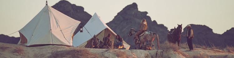 ARRIVÉES DE PRINTEMPS